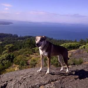 Meet your Posher, Murray